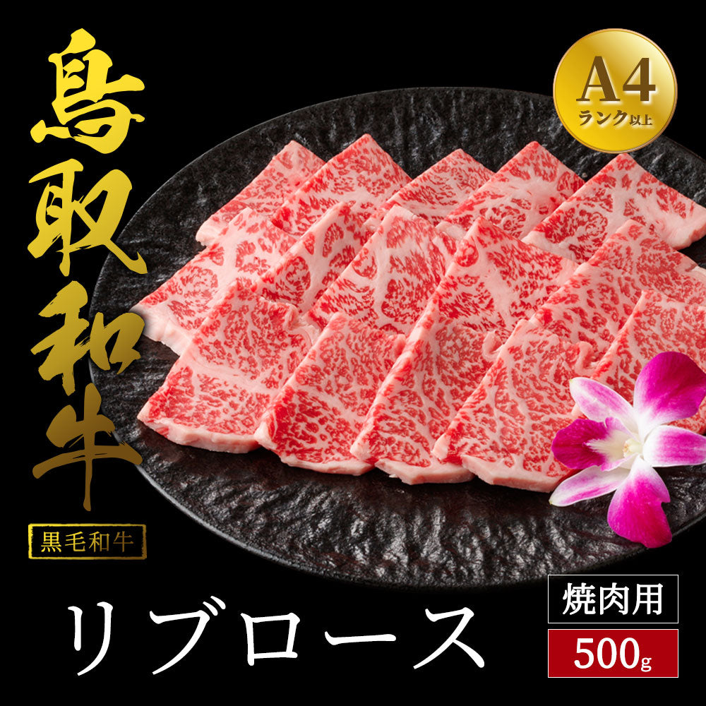 鳥取和牛 リブロース 焼肉用 500g