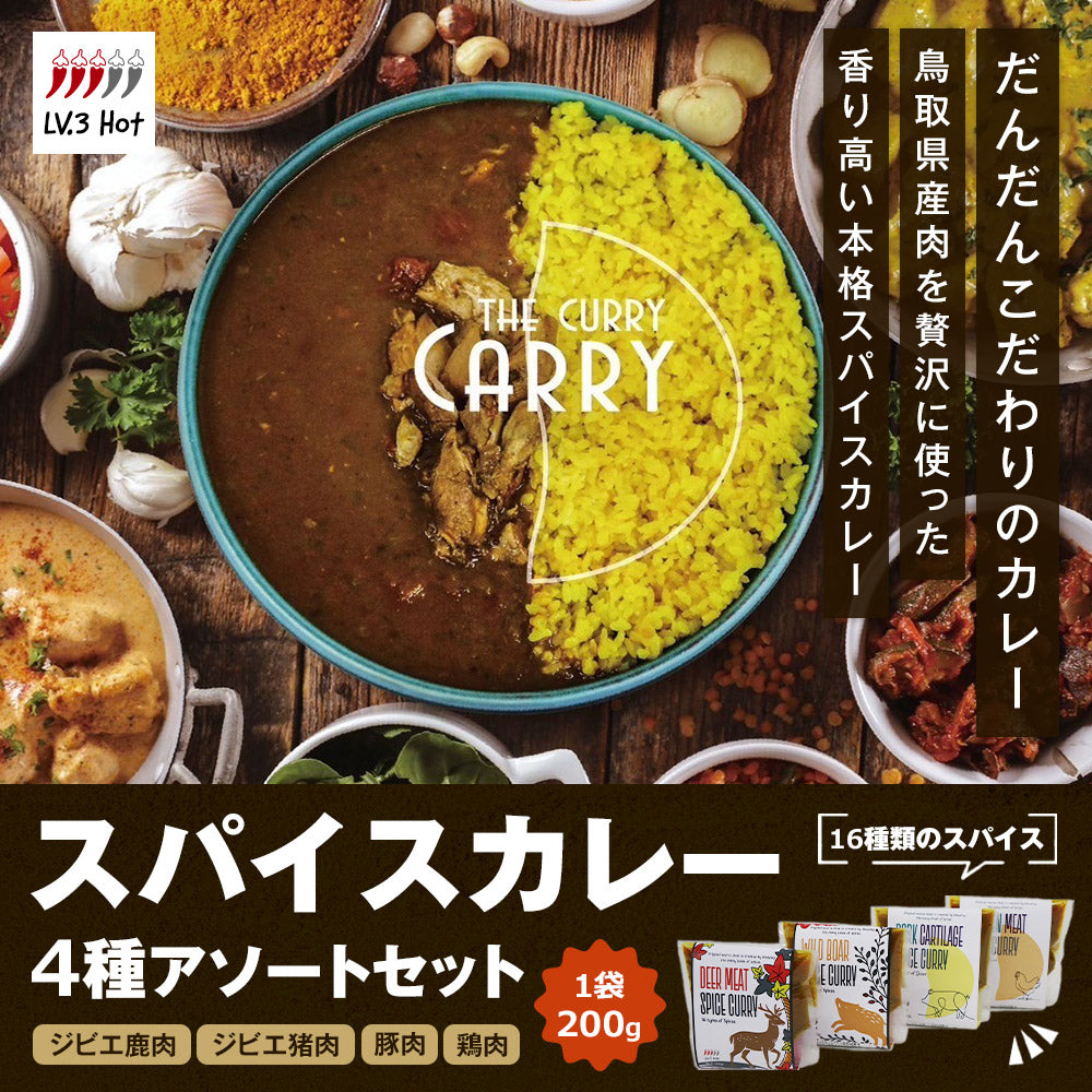 スパイスカレー 4種アソートセット