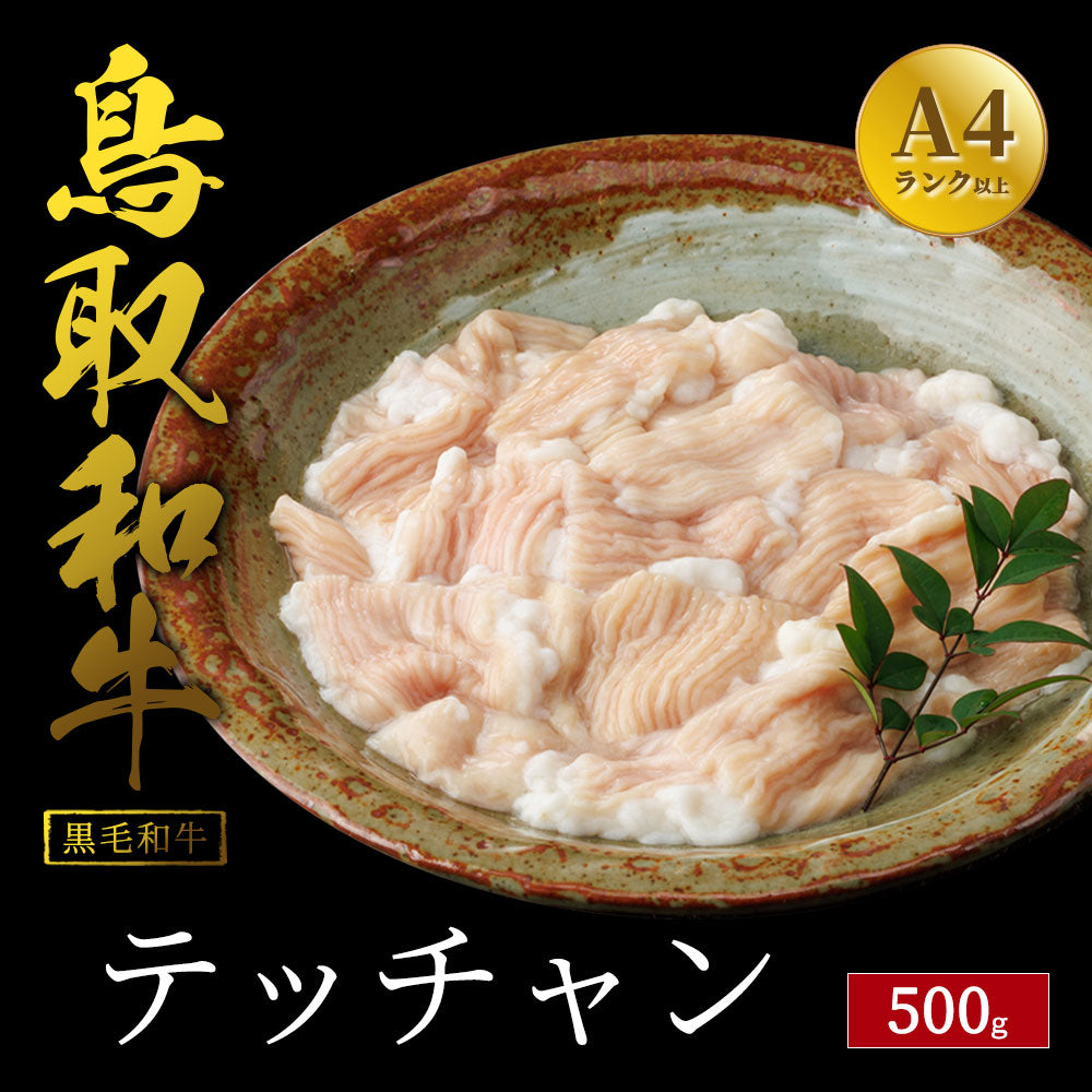 鳥取和牛 テッチャン 500g