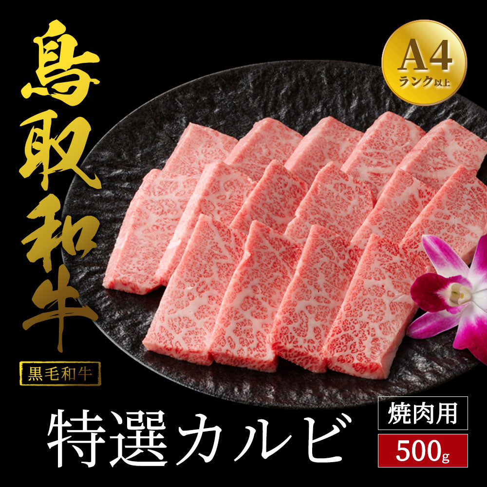 鳥取和牛 特選カルビ 焼肉用 500g